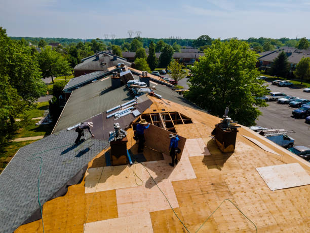 24/7 Emergency Flat Roof Repair experts in Palmer Lake, CO